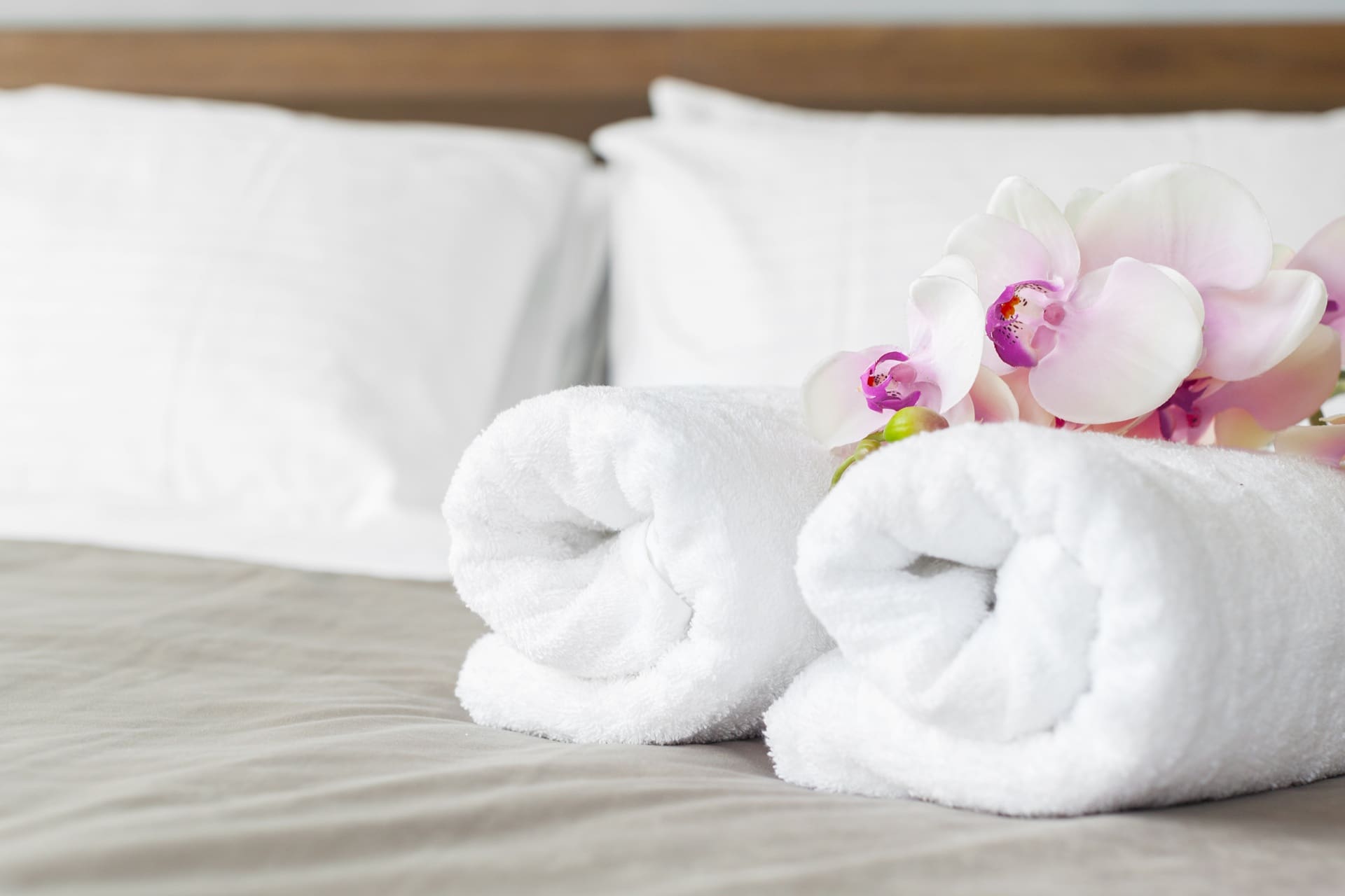 Two rolled white towels with pink orchids placed on a bed with white pillows and beige bedding.